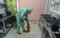 Услуги дезинсекции в Красноярске